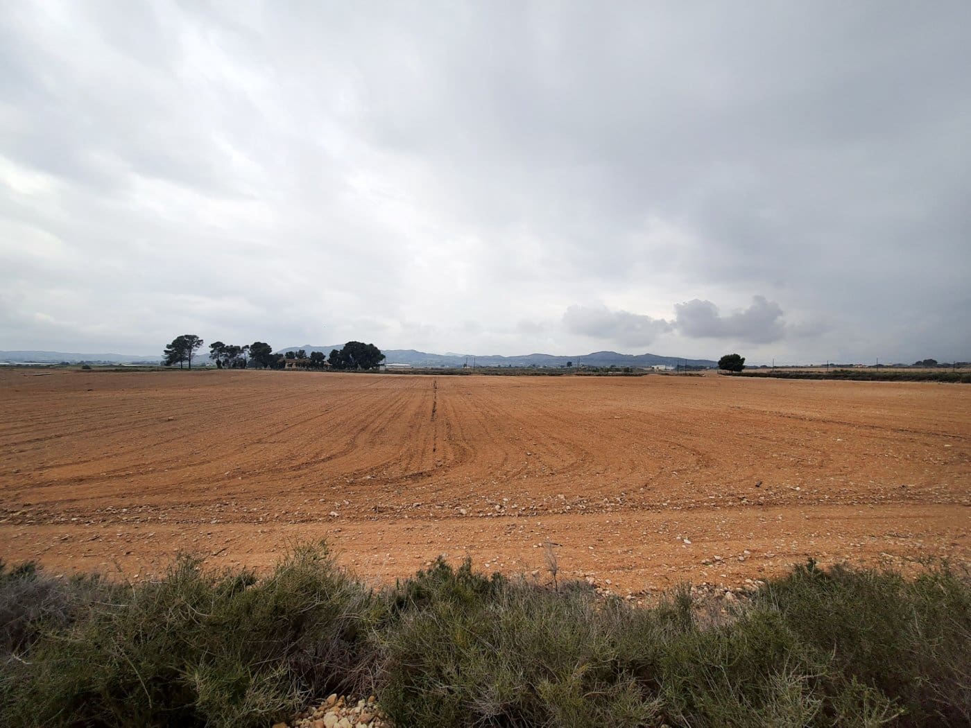 1 sypialnia Willa na sprzedaż w Novelda z basenem garażem - 88 000 € (Ref: 7975859)