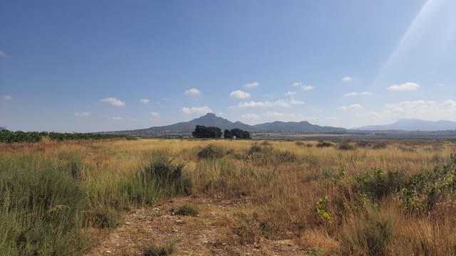 Building Plot for sale in Salinas - € 75,996 (Ref: 7975876)
