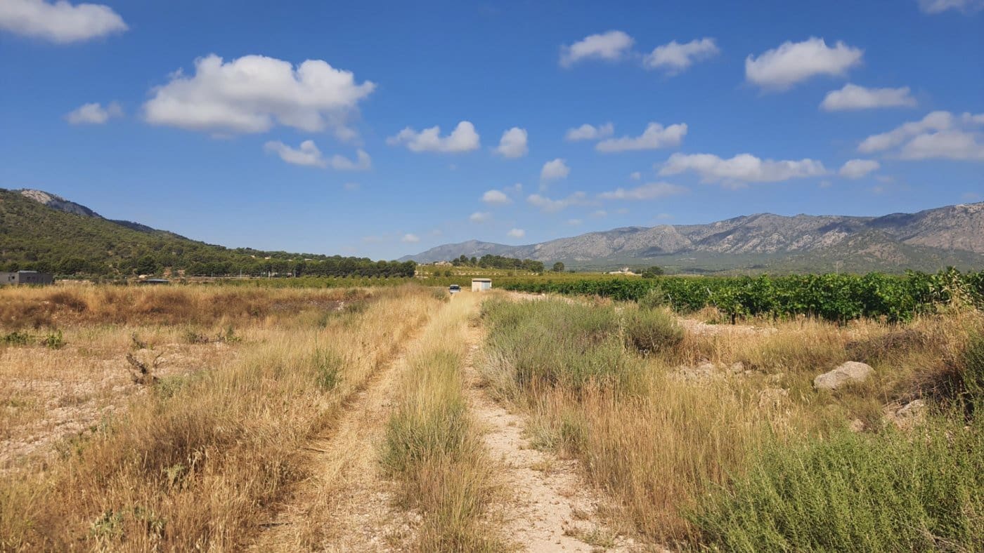 Bouwgrond te koop in Salinas - € 44.120 (Ref: 7975877)