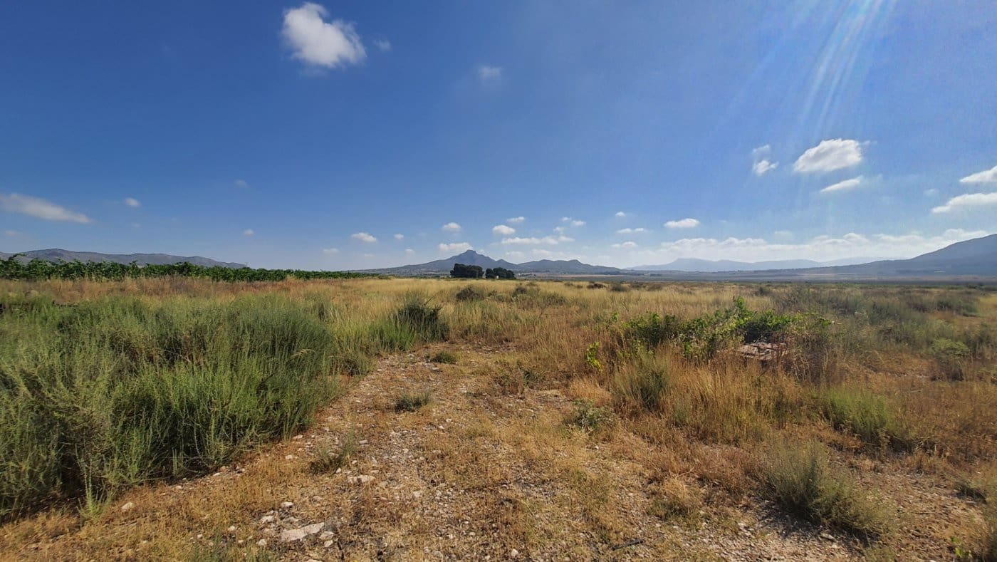 Bouwgrond te koop in Salinas - € 44.120 (Ref: 7975877)