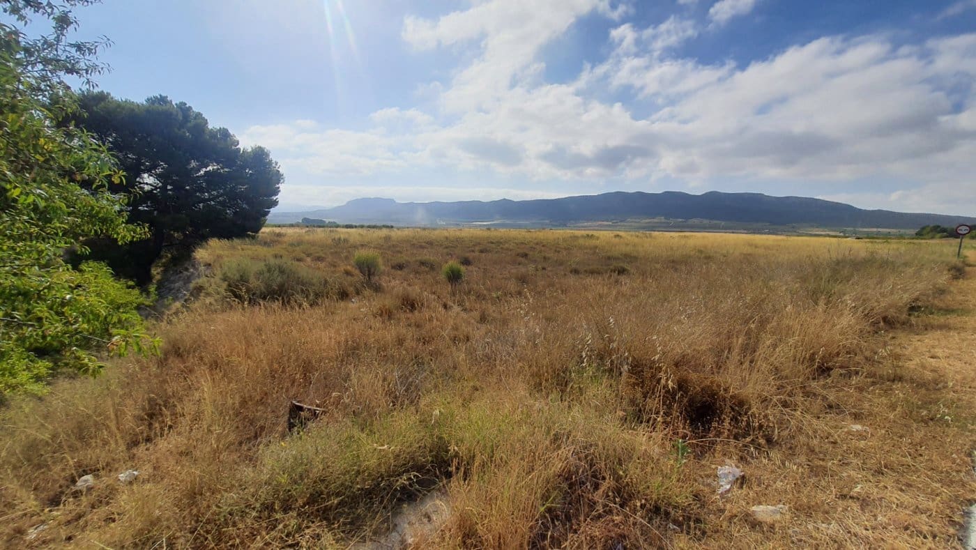 Bouwgrond te koop in Salinas - € 44.120 (Ref: 7975877)