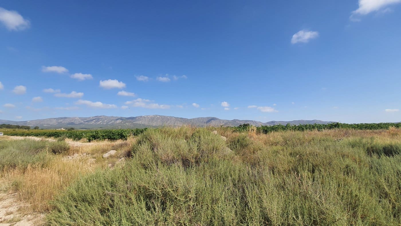 Byggegrund til salg i Salinas - € 62.739 (Ref: 7975878)