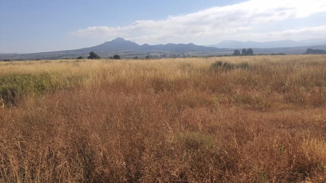 Bouwgrond te koop in Salinas - € 62.739 (Ref: 7975878)