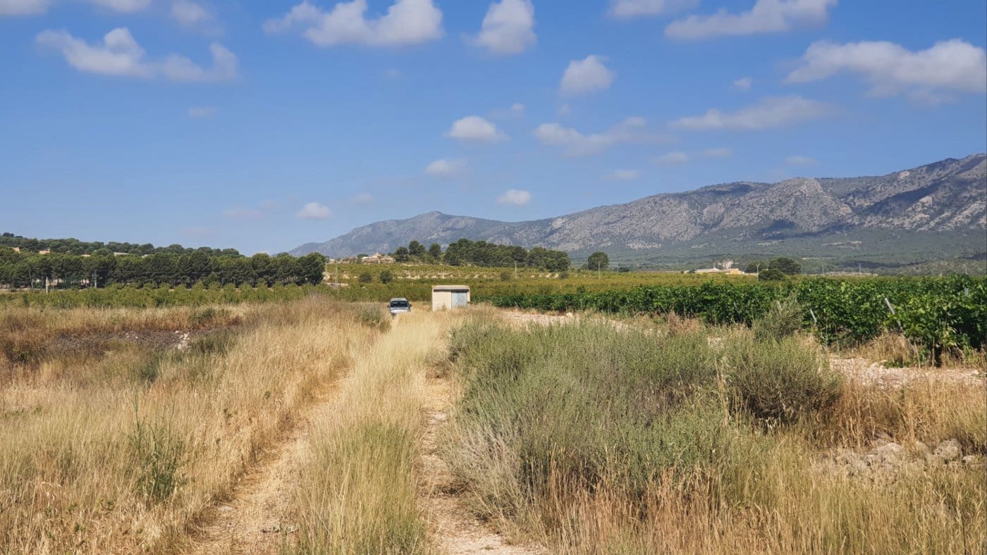 Area Edificabile in vendita in Salinas - 37.374 € (Rif: 7975879)