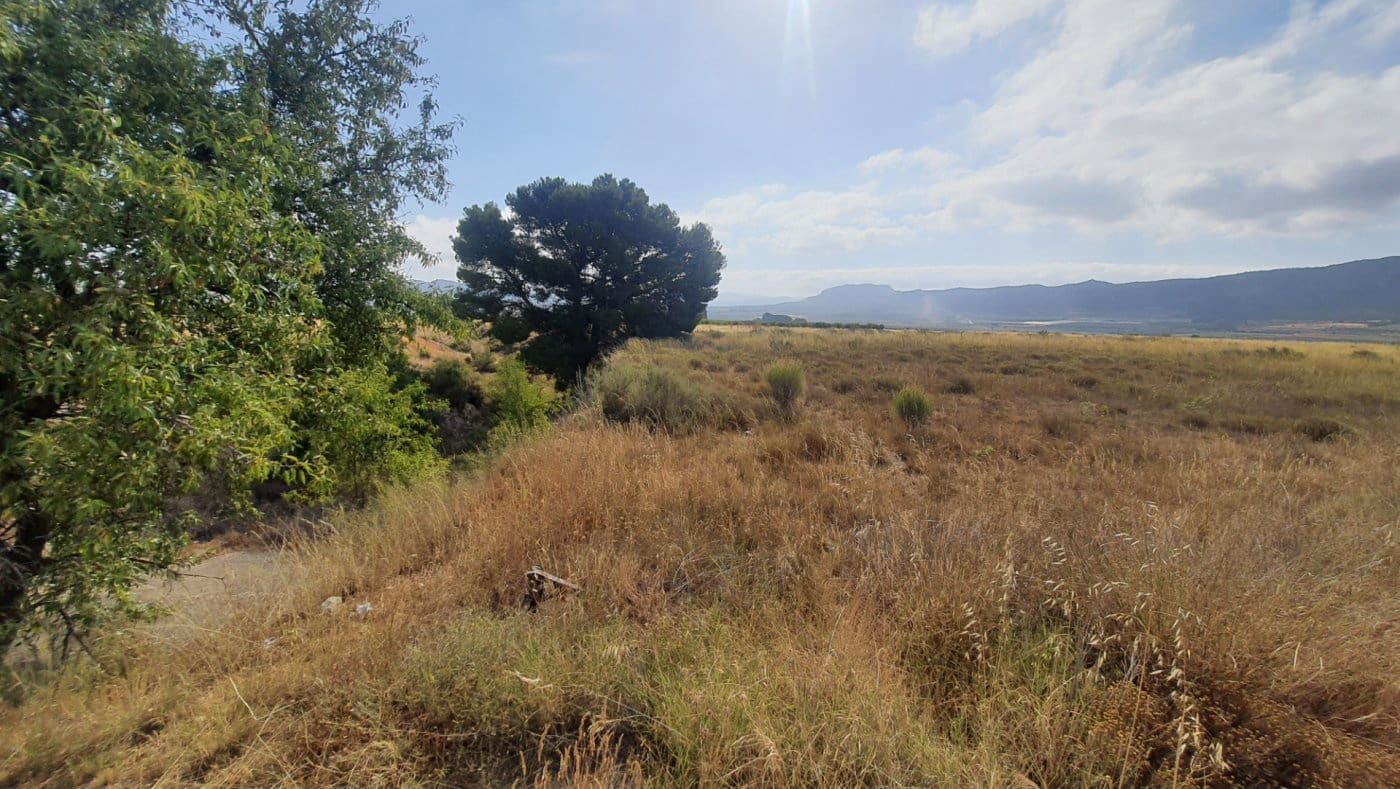 Area Edificabile in vendita in Salinas - 37.374 € (Rif: 7975879)