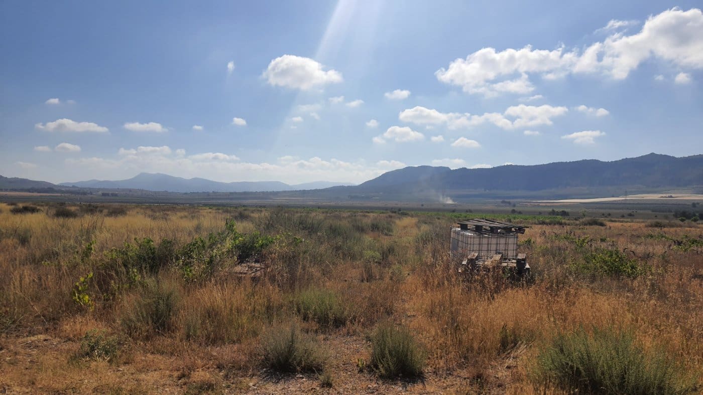 Area Edificabile in vendita in Salinas - 37.374 € (Rif: 7975879)