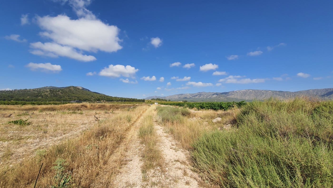 Area Edificabile in vendita in Salinas - 37.374 € (Rif: 7975879)