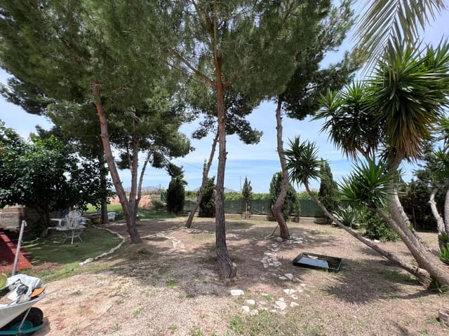 6 chambre Villa/Maison à vendre à Novelda avec piscine garage - 360 000 € (Ref: 7975930)