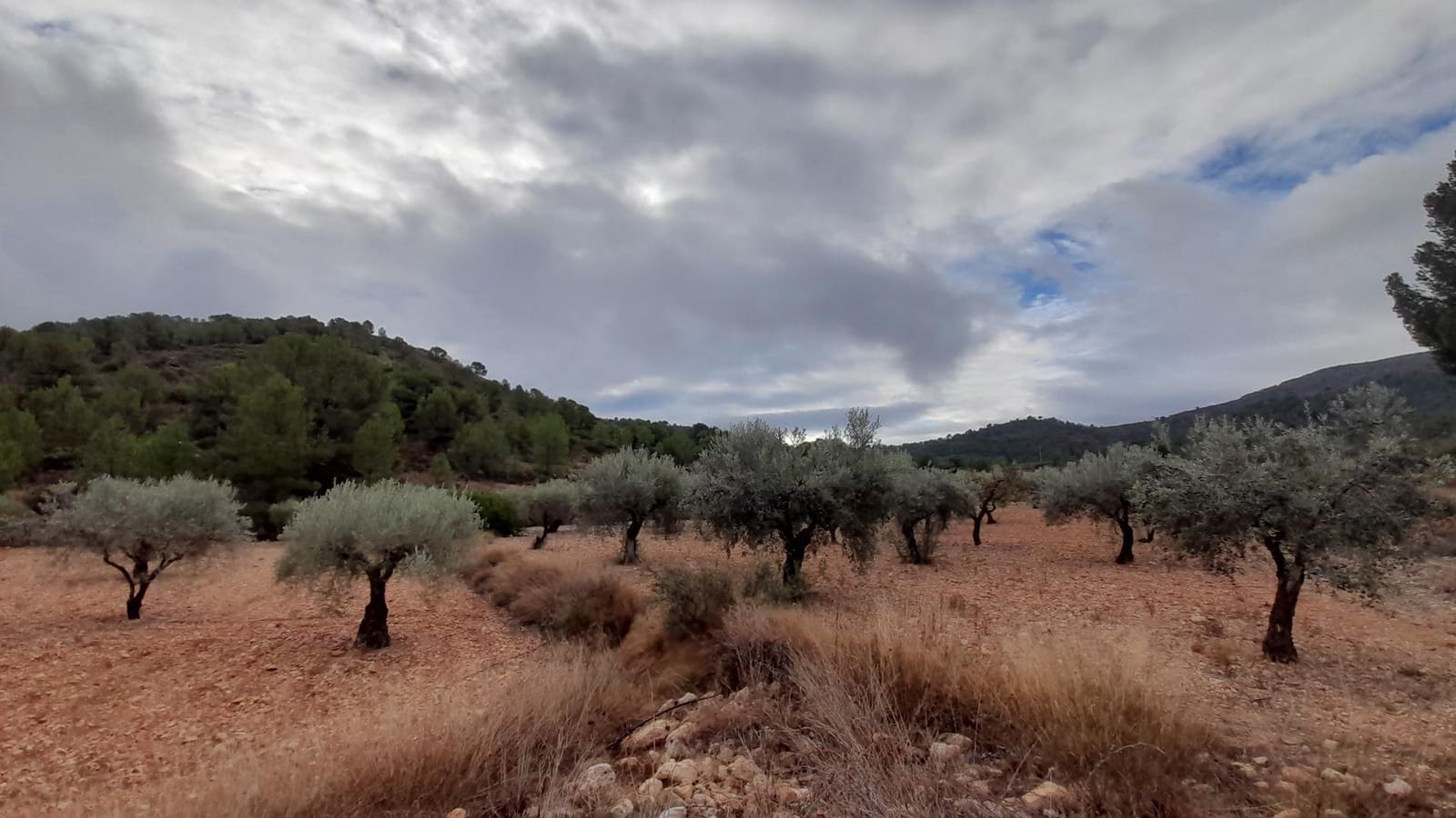 2 camera da letto Villa in vendita in La Romana con piscina garage - 63.000 € (Rif: 8075047)