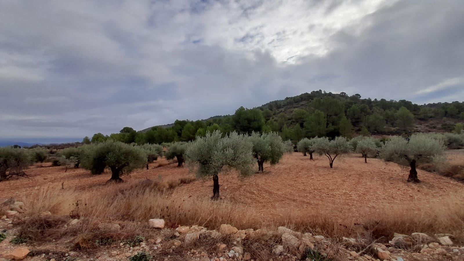 2 camera da letto Villa in vendita in La Romana con piscina garage - 63.000 € (Rif: 8075047)