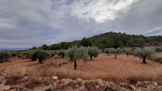 2 makuuhuone Huvila myytävänä paikassa La Romana mukana uima-altaan 
autotalli - 63 000 € (Ref: 8075047)