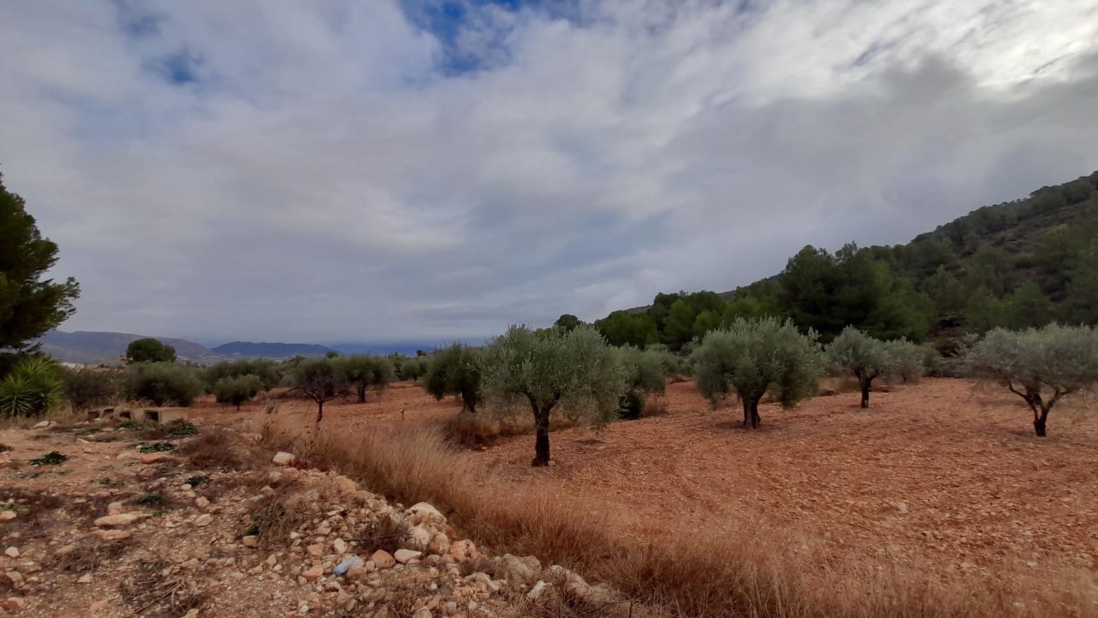 2 camera da letto Villa in vendita in La Romana con piscina garage - 63.000 € (Rif: 8075047)