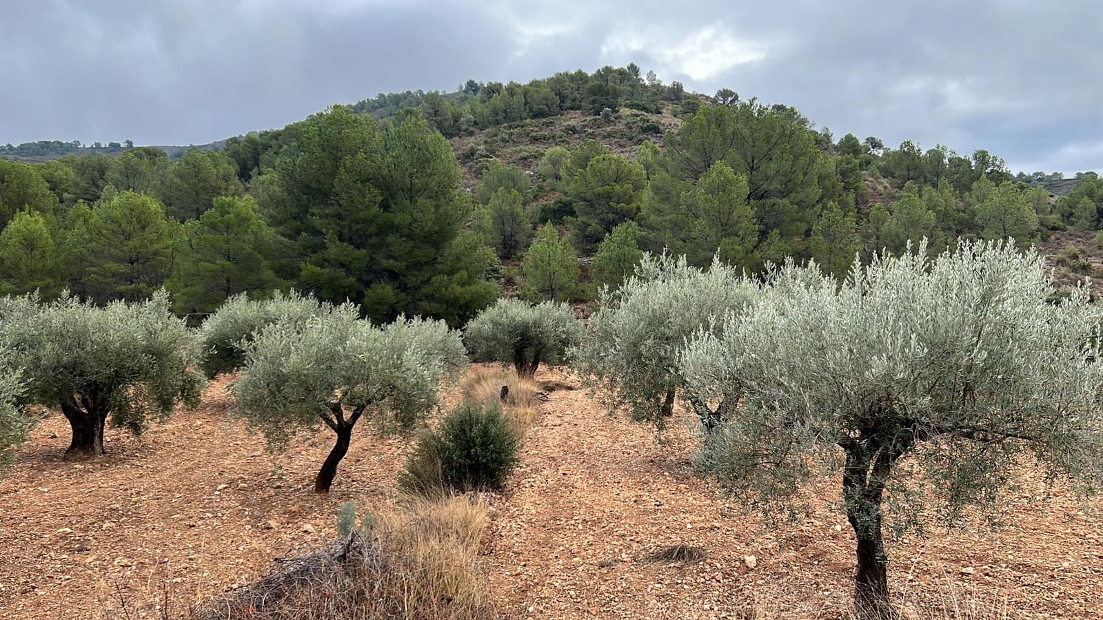 2 camera da letto Villa in vendita in La Romana con piscina garage - 63.000 € (Rif: 8075047)