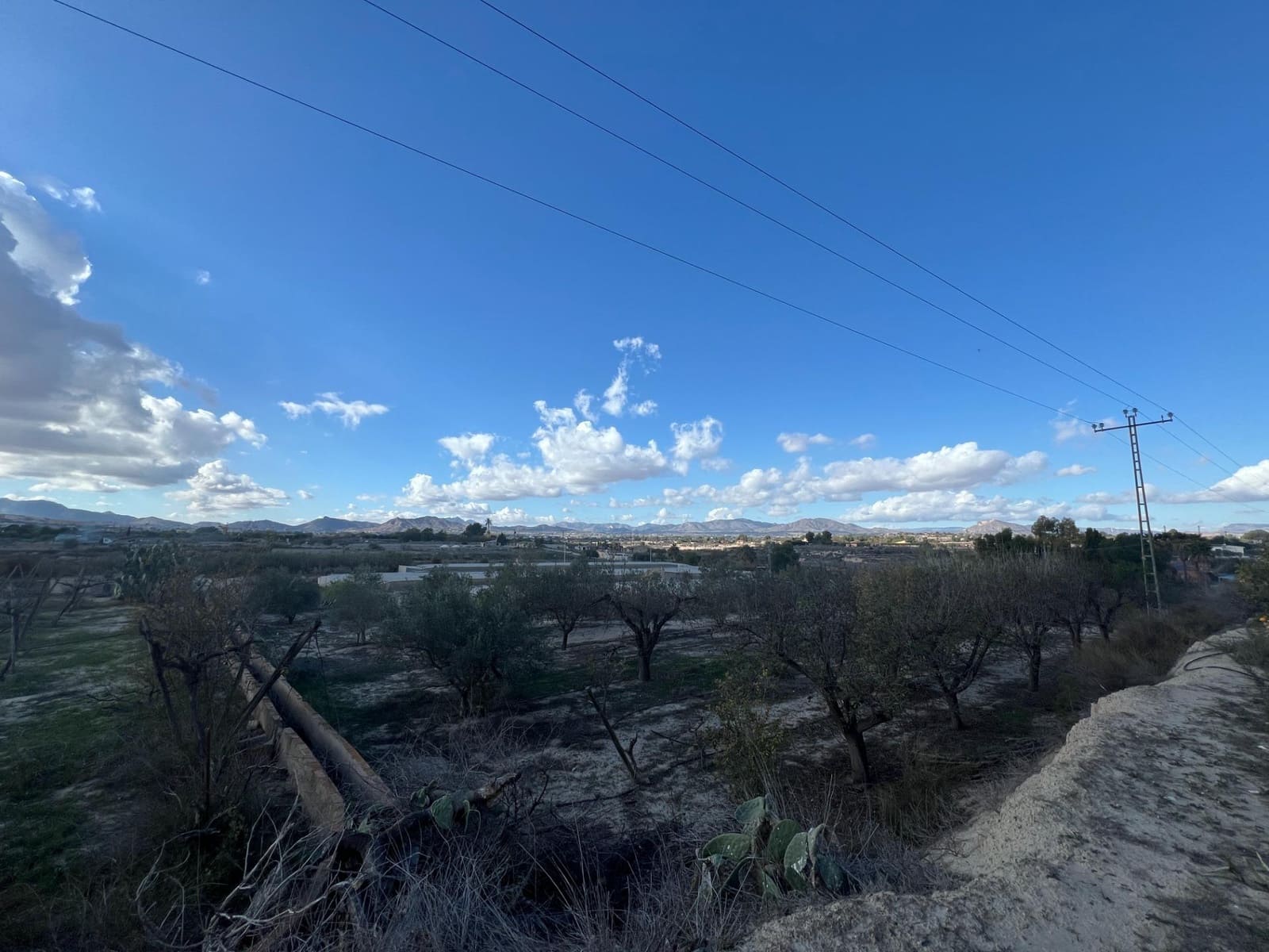 Finca/Landehus til salg i Novelda - € 55.000 (Ref: 9040661)