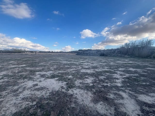 Finca/Landehus til salg i Novelda - € 55.000 (Ref: 9040661)