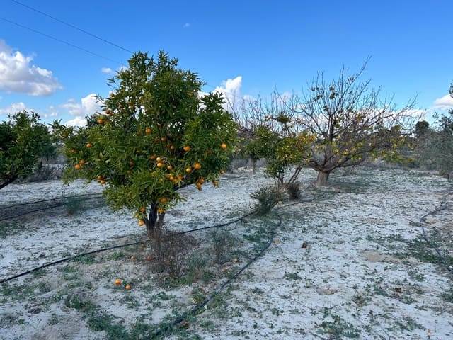 Finca/Landehus til salg i Novelda - € 55.000 (Ref: 9040661)