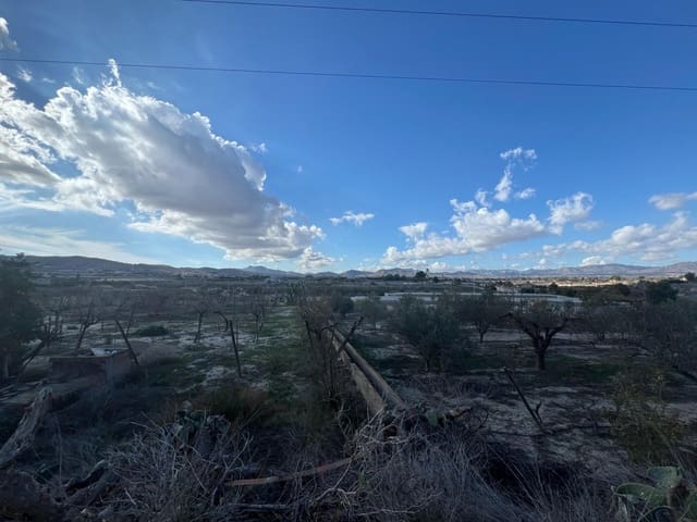 Finca/Landehus til salg i Novelda - € 55.000 (Ref: 9040661)