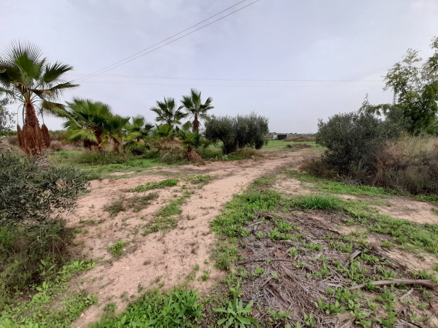 2 soveværelse Finca/Landehus til salg i Novelda - € 69.000 (Ref: 9374050)