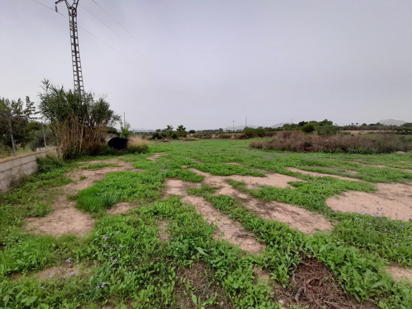 2 soveværelse Finca/Landehus til salg i Novelda - € 69.000 (Ref: 9374050)