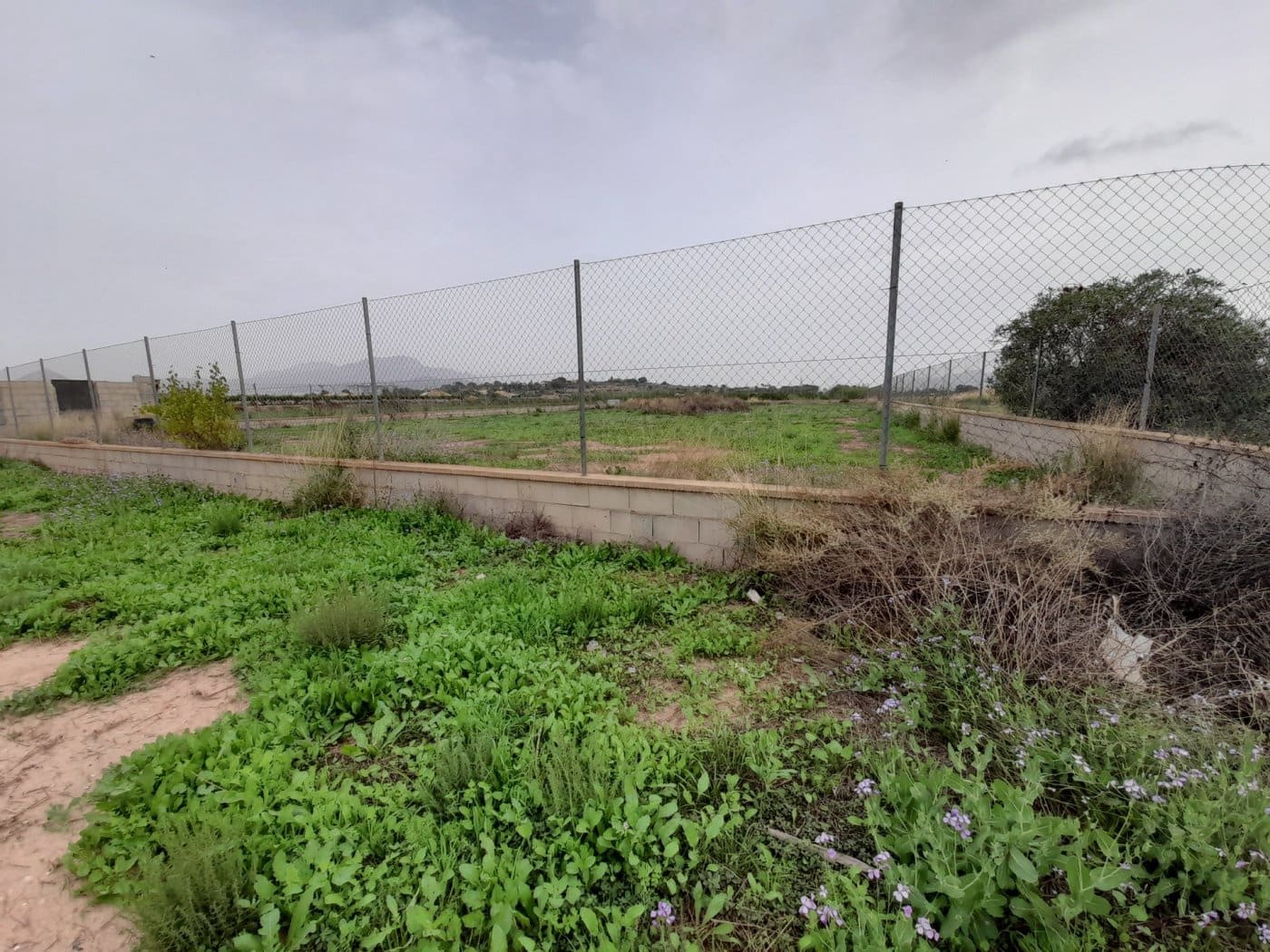 2 soveværelse Finca/Landehus til salg i Novelda - € 69.000 (Ref: 9374050)