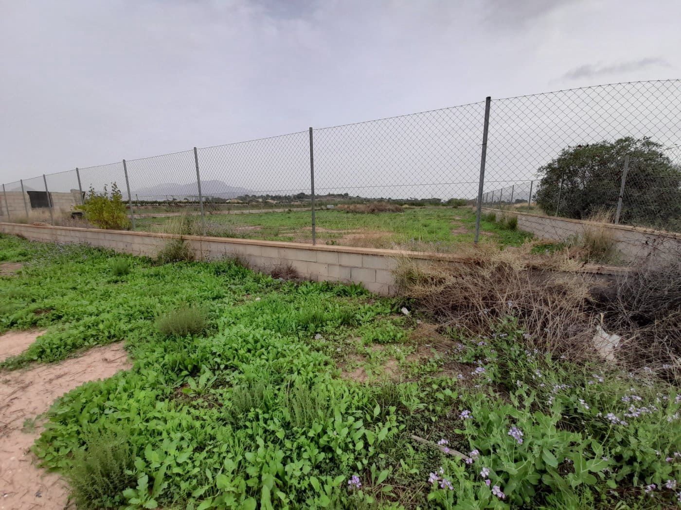 2 soveværelse Finca/Landehus til salg i Novelda - € 69.000 (Ref: 9374050)