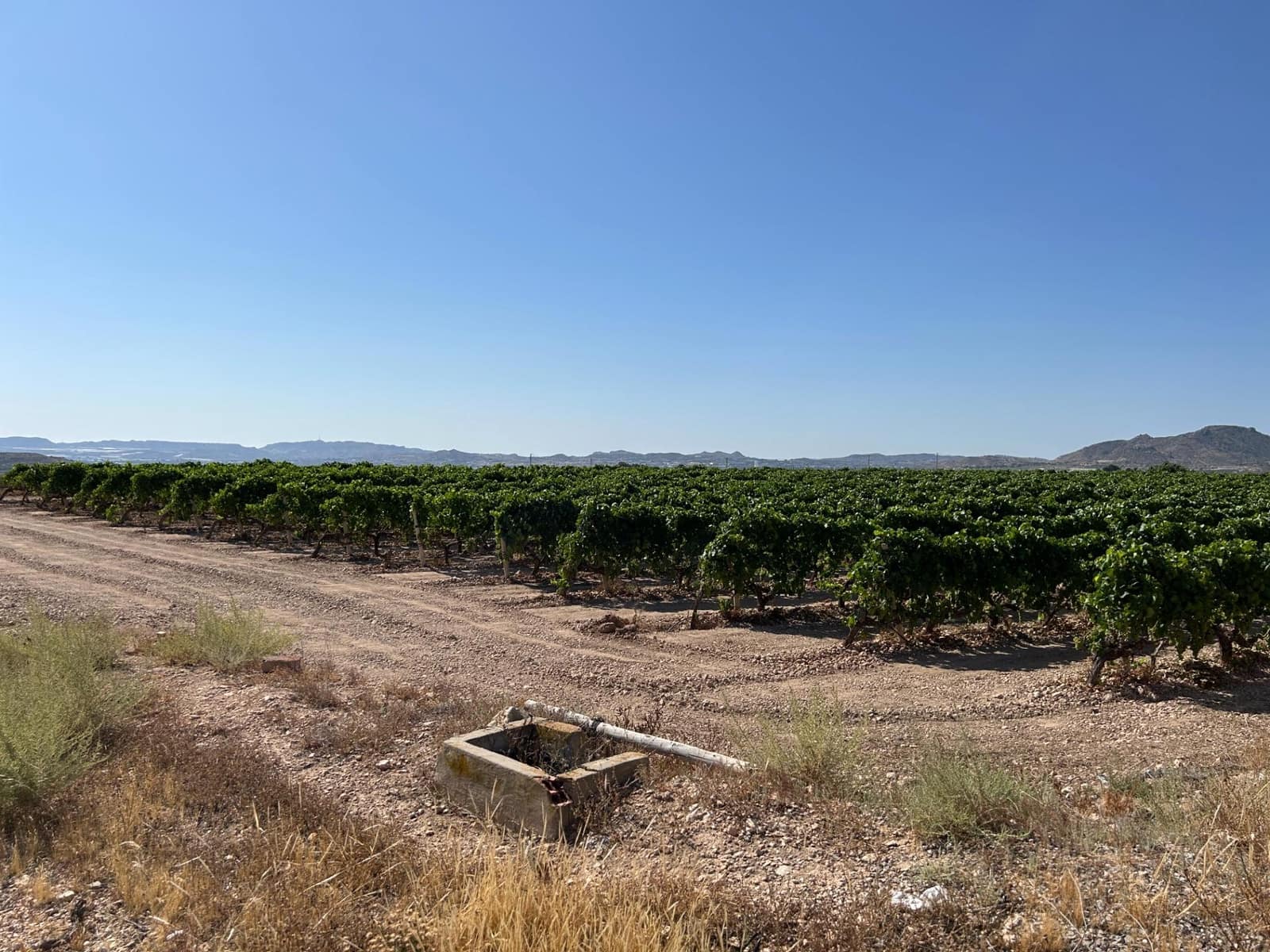 4 chambre Villa/Maison à vendre à Novelda avec piscine garage - 239 000 € (Ref: 9403395)