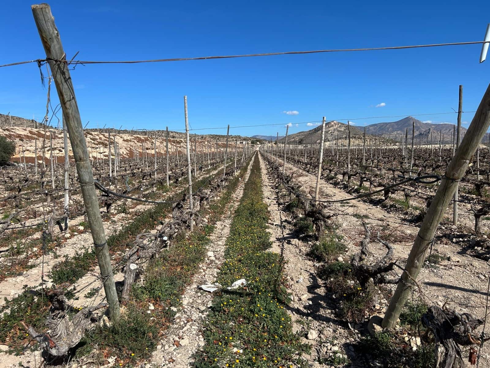 4 chambre Villa/Maison à vendre à Novelda avec piscine garage - 239 000 € (Ref: 9403395)