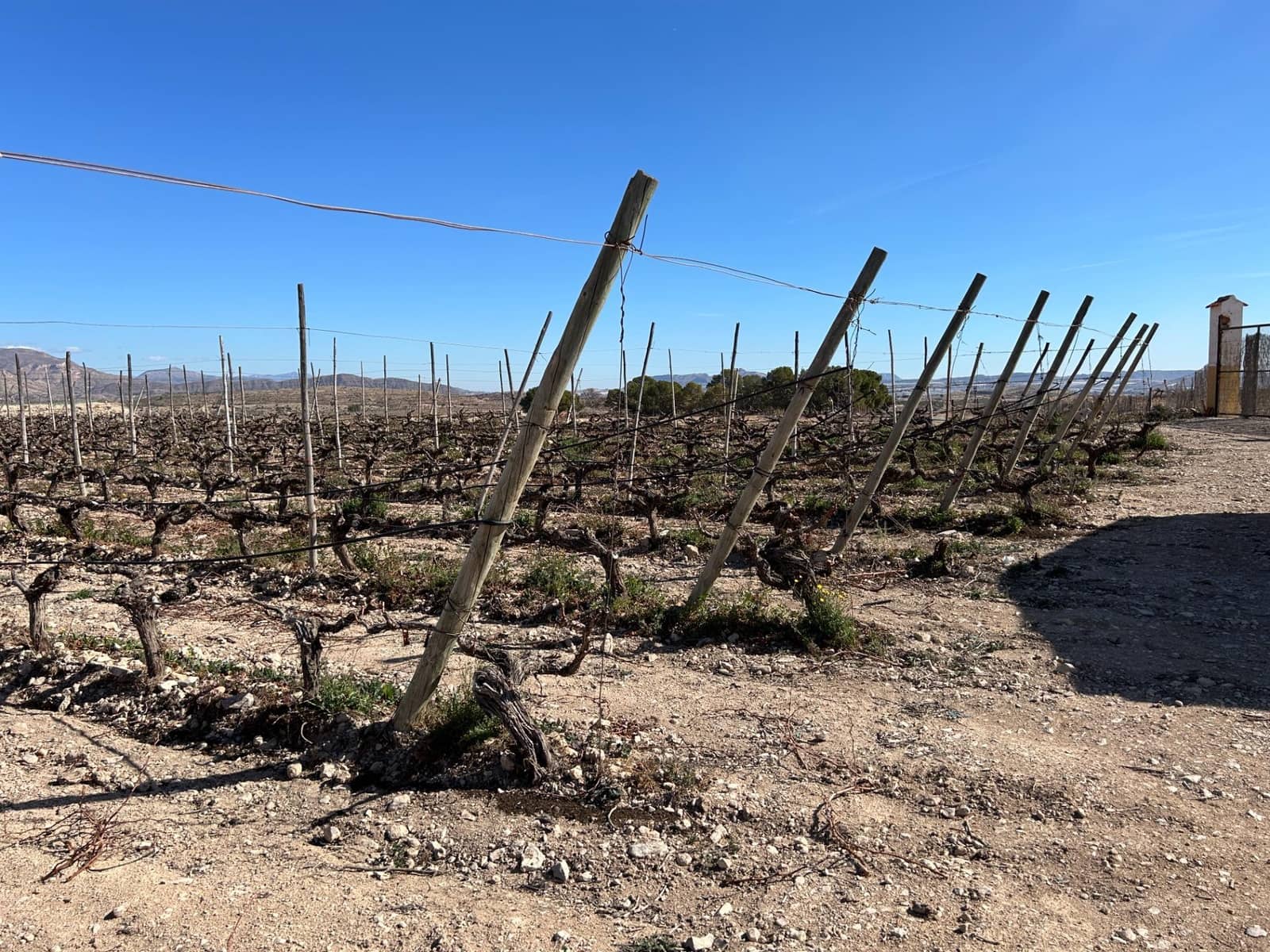 4 chambre Villa/Maison à vendre à Novelda avec piscine garage - 239 000 € (Ref: 9403395)