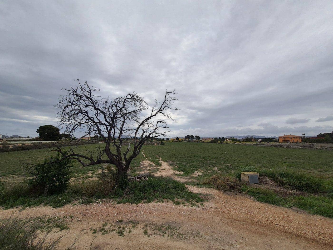 Tomt till salu i Novelda - 65 000 € (Ref: 9425776)