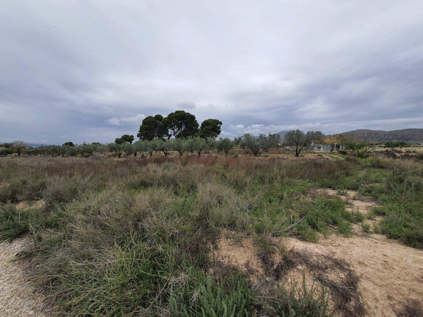 Tomt till salu i Novelda - 65 000 € (Ref: 9425776)