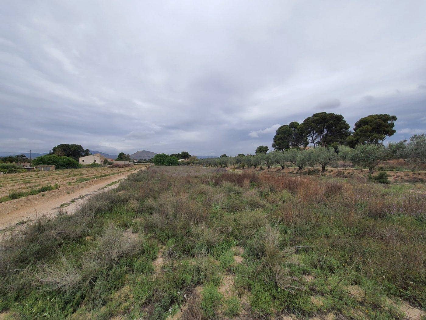 Tomt till salu i Novelda - 65 000 € (Ref: 9425776)