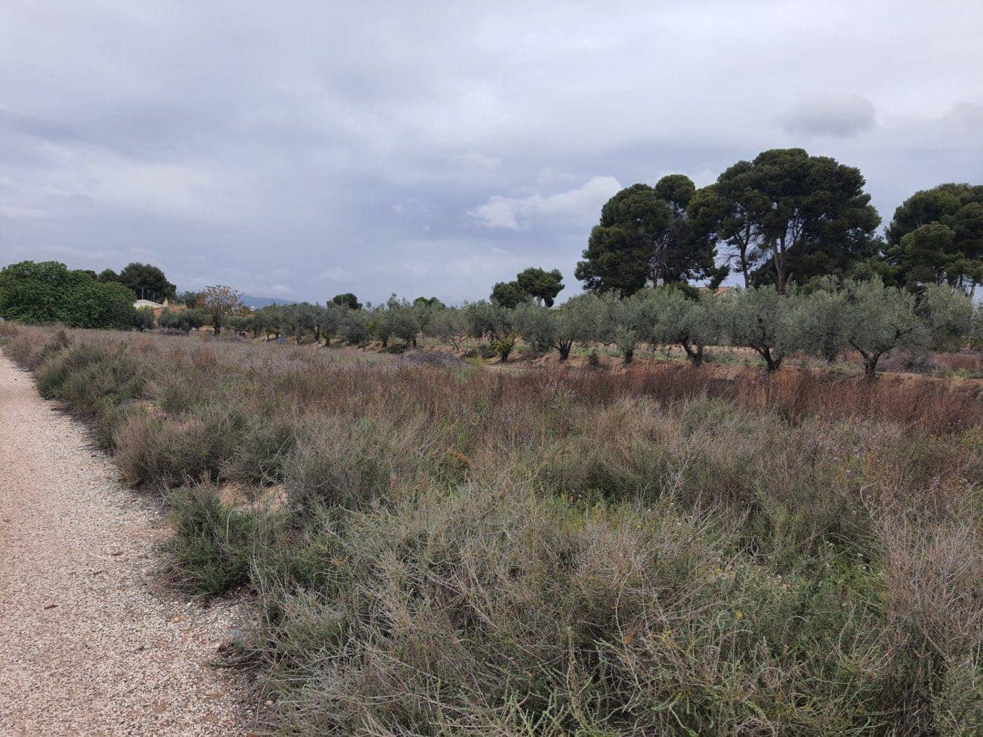 Tomt till salu i Novelda - 65 000 € (Ref: 9425776)