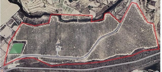 Finca/Landehus til salg i Desamparados - Hurchillo - Torremendo, Orihuela - € 1.200.000 (Ref: 10089599)
