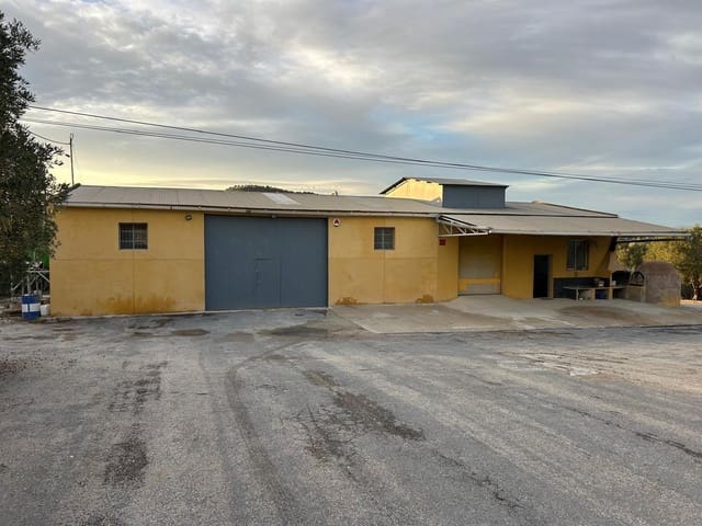 Finca/Landehus til salg i Desamparados - Hurchillo - Torremendo, Orihuela - € 1.200.000 (Ref: 10089599)