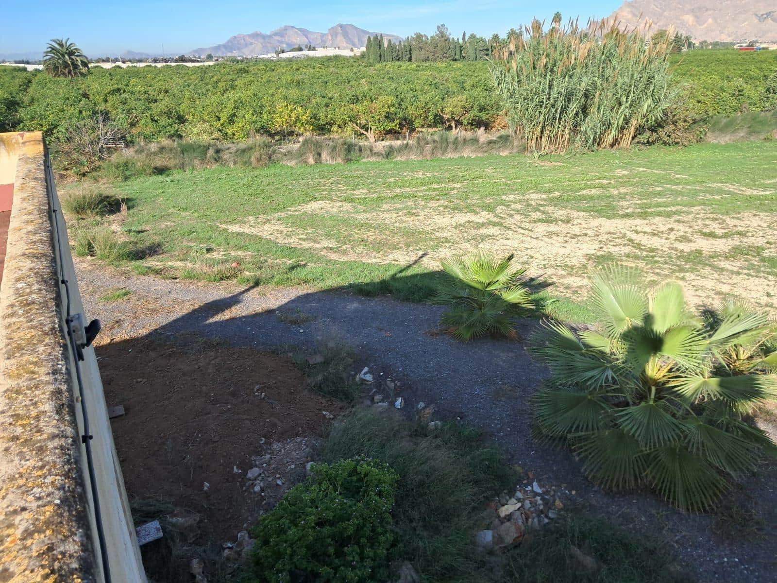 4 sypialnia Finka/Dom wiejski na sprzedaż w Benejuzar - 280 000 € (Ref: 9341330)