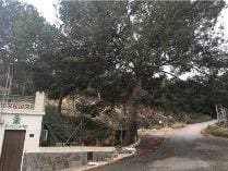 Rakentamaton maa myytävänä paikassa Desamparados - Hurchillo - Torremendo, Orihuela - 375 000 € (Ref: 9562039)