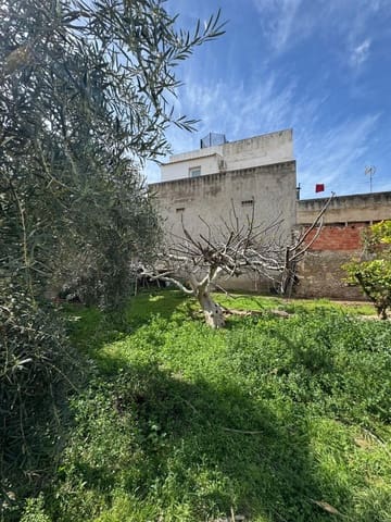 Terreno para Construção para venda em Jacarilla - 99 000 € (Ref: 9666732)