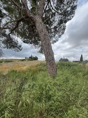 4 bedroom Finca/Country House for sale in Abanilla - € 98,000 (Ref: 9804486)