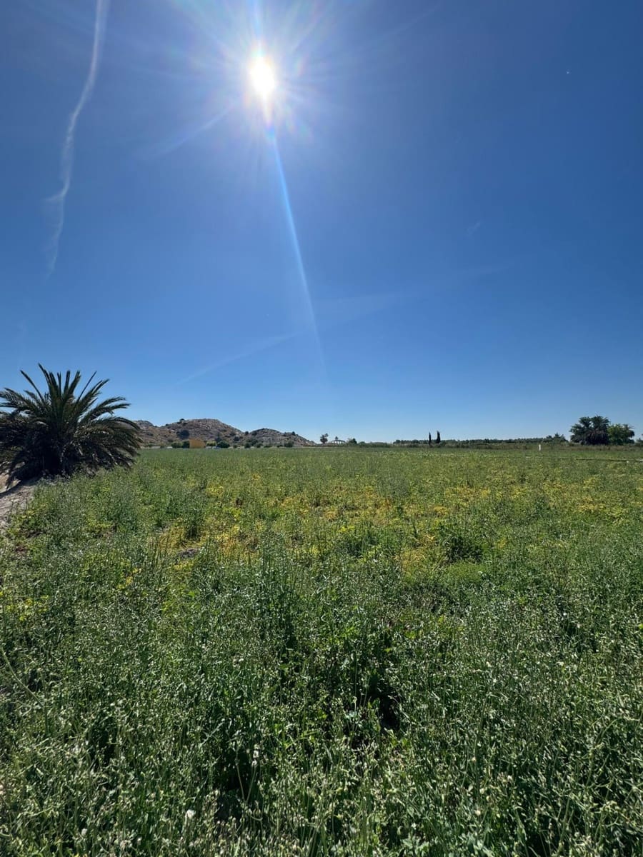 2 camera da letto Finca/Casa di Campagna in vendita in Granja de Rocamora - 410.000 € (Rif: 9876575)