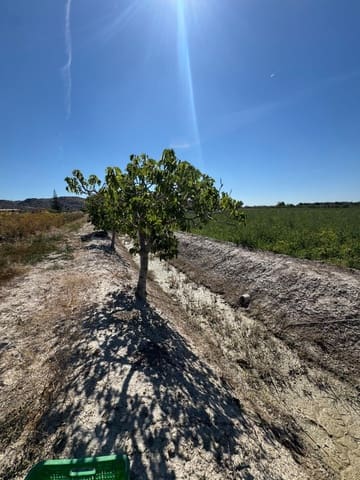 2 camera da letto Finca/Casa di Campagna in vendita in Granja de Rocamora - 410.000 € (Rif: 9876575)