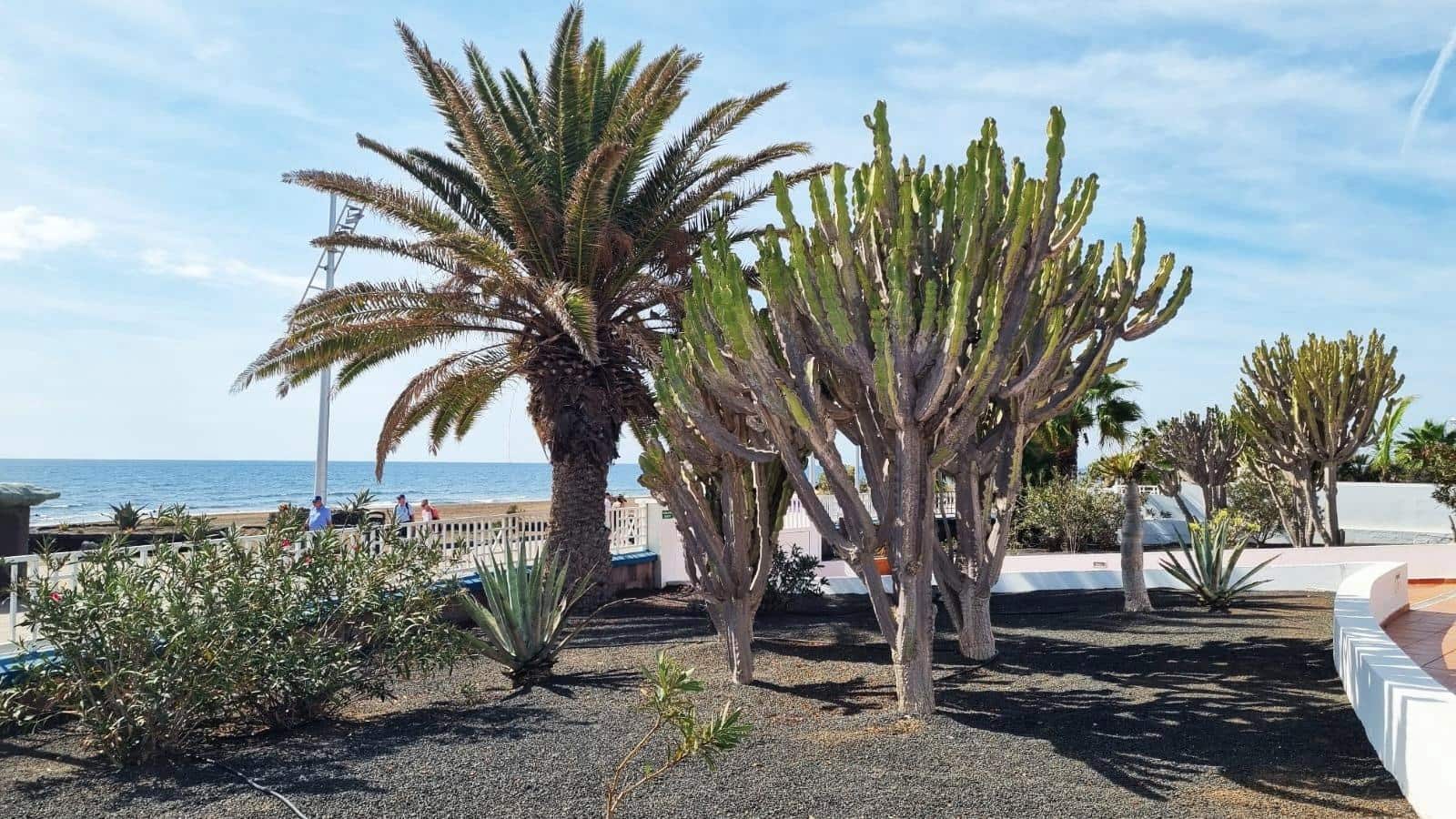 2 slaapkamer Appartement te koop in Puerto del Carmen met zwembad garage - € 540.000 (Ref: 9375387)