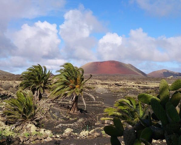 4 sypialnia Willa na sprzedaż w Tías z basenem - 649 000 € (Ref: 9773134)