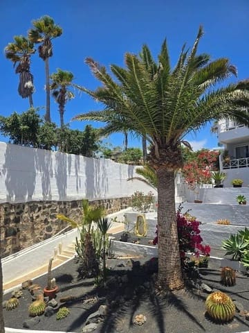 Studio til salg i Puerto del Carmen, Tías med swimmingpool - € 225.000 (Ref: 9908074)