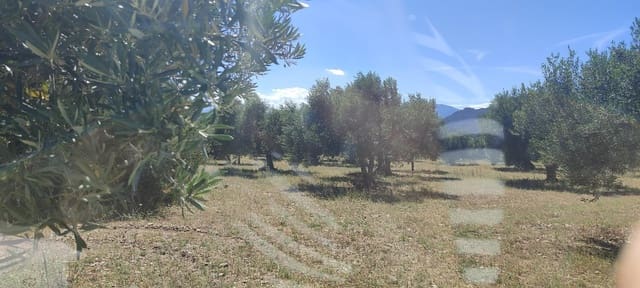 Mark till salu i Cantallops - 40 000 € (Ref: 9240683)