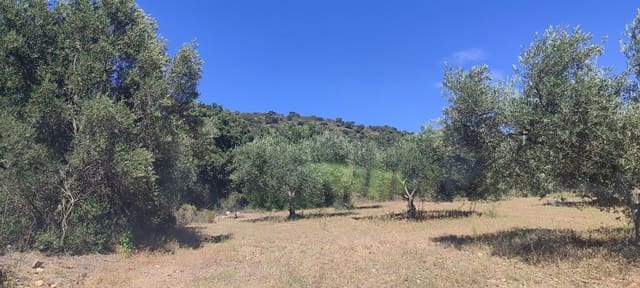 Grond te koop in Cantallops - € 40.000 (Ref: 9240683)