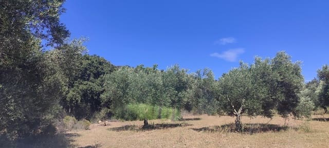 Grond te koop in Cantallops - € 40.000 (Ref: 9240683)