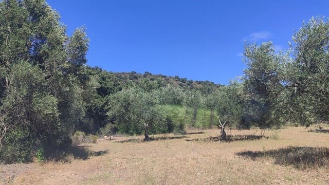 Grond te koop in Cantallops - € 40.000 (Ref: 9240683)