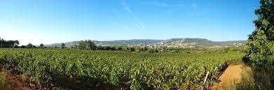 Ubebygd land til salgs i Calonge i Sant Antoni - € 90 000 (Ref: 9240684)