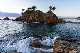 Ubebygd land til salgs i Calonge i Sant Antoni - € 90 000 (Ref: 9240684)