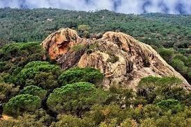 Tomt till salu i Santa Cristina d'Aro - 90 000 € (Ref: 9240685)